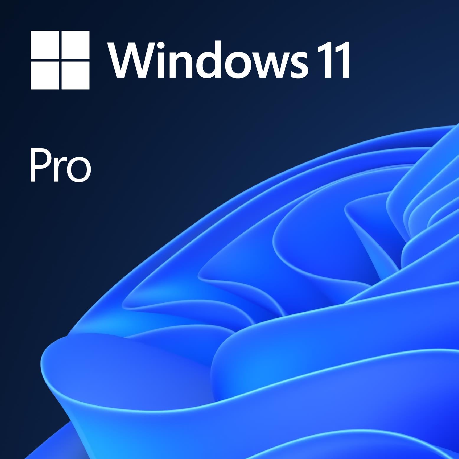 Windows 11 Pro for 3 Devices